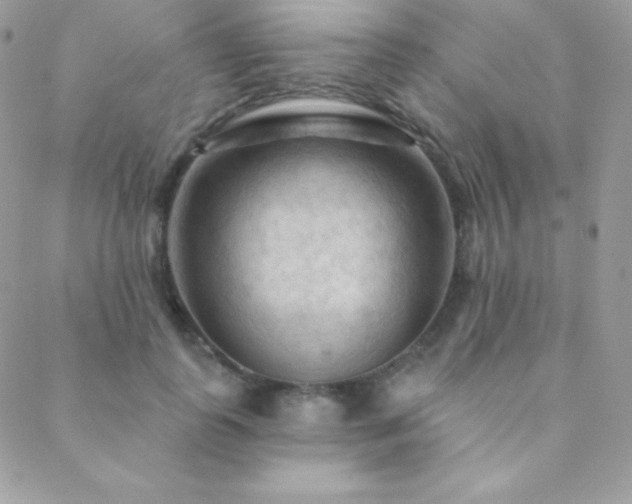 X0000088830747200706071355
