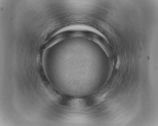 X0000088830748200706071355