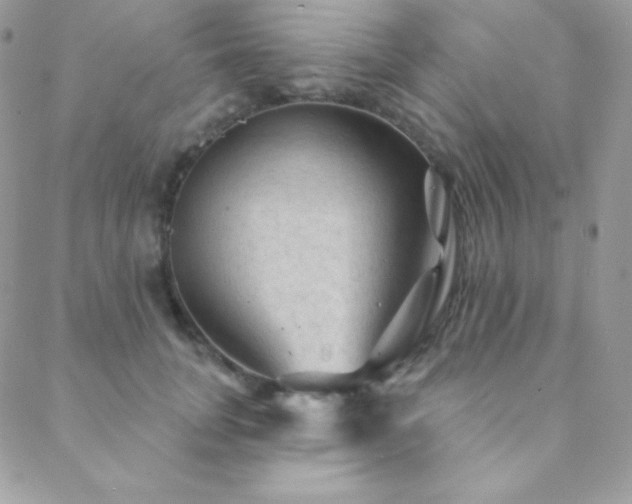 X0000088830751200706071355