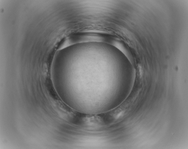 X0000088830752200706071355