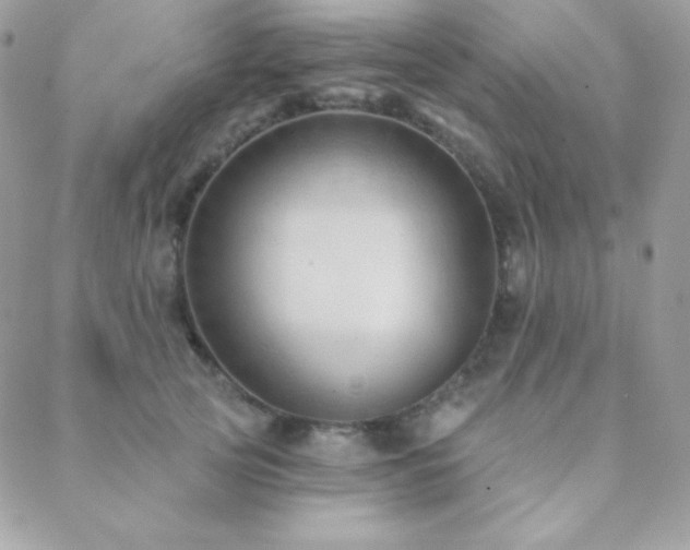 X0000088830753200706071355