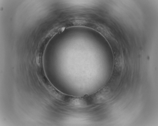X0000088830755200706071355