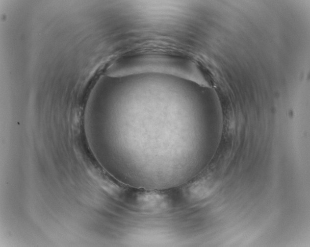 X0000088830759200706071355