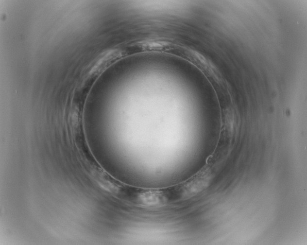 X0000088830761200706071355