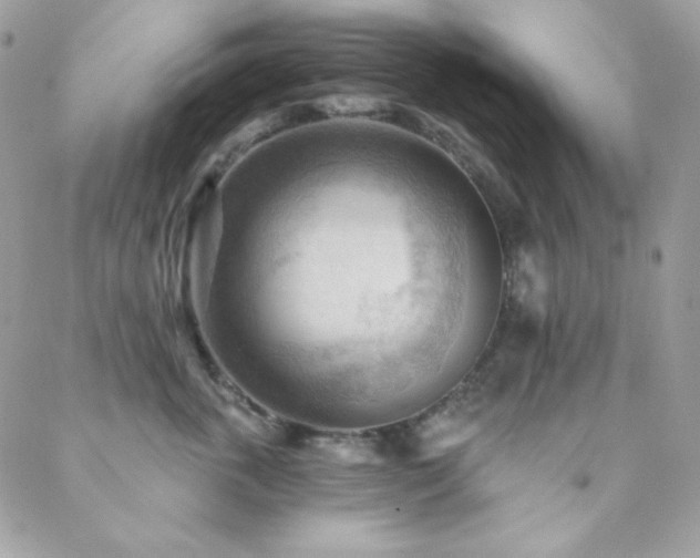 X0000088830763200706071355