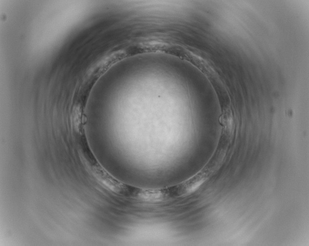 X0000088830767200706071355