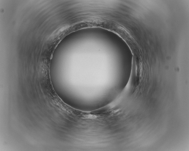 X0000088830773200706071354