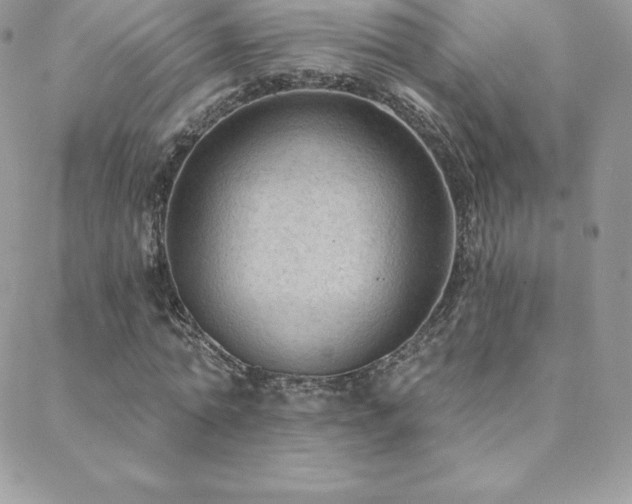 X0000088830774200706071354