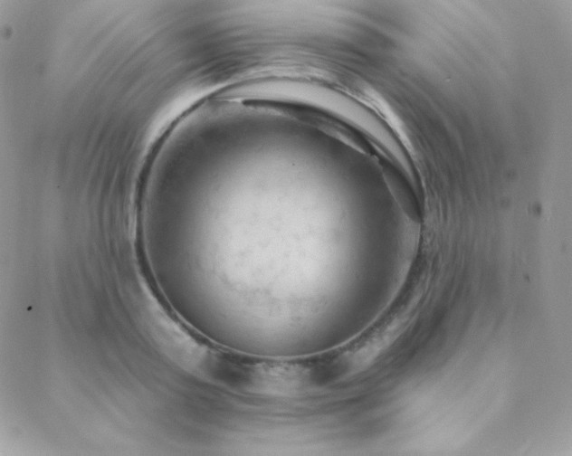 X0000088830795200706071354