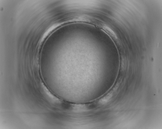 X0000088830800200706071354