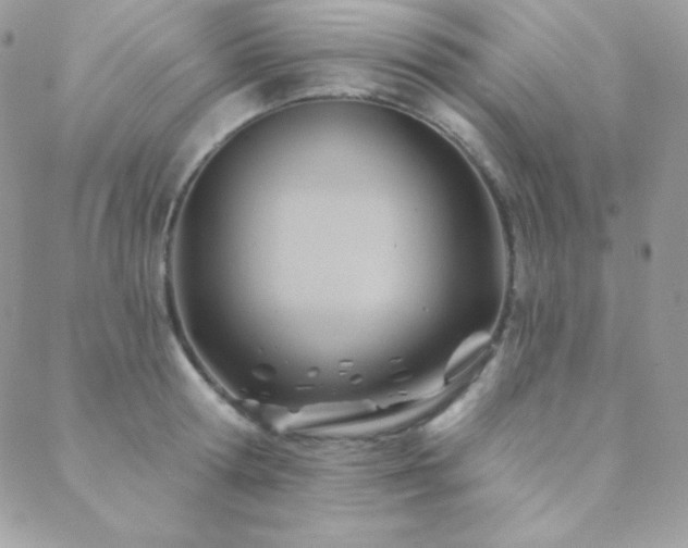 X0000088830802200706071354