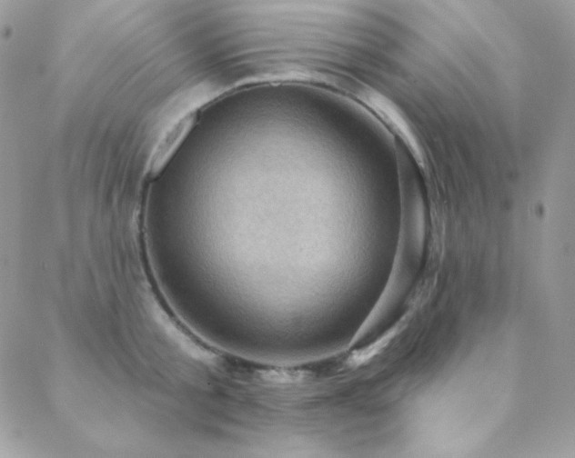 X0000088830805200706071354