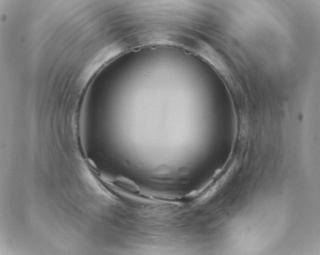 X0000088830806200706071354