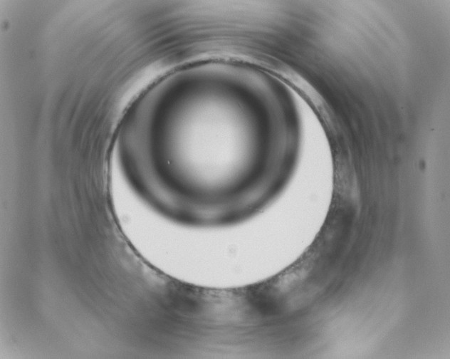 X0000088830807200706071354