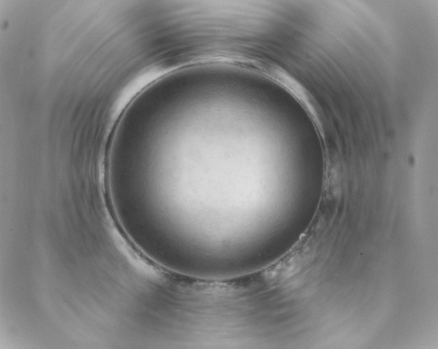 X0000088830811200706071354
