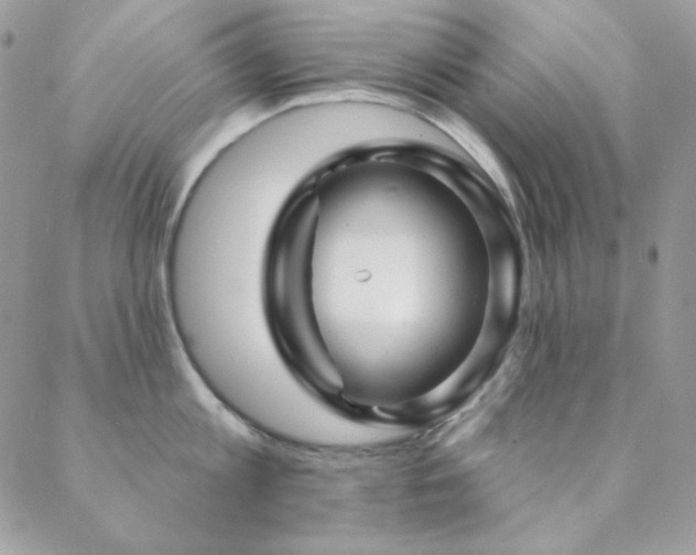 X0000088830813200706071353