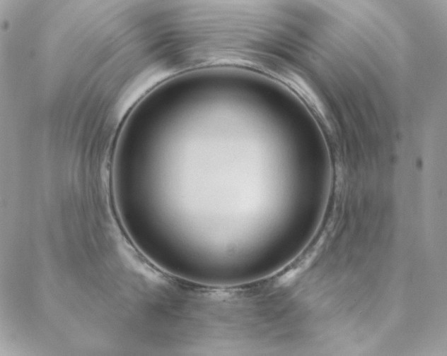X0000088830814200706071353
