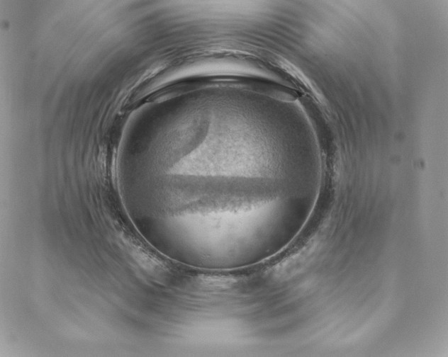 X0000088830825200706071353
