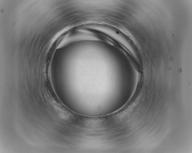 X0000088830830200706071353