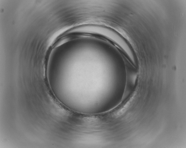 X0000088830838200706071353