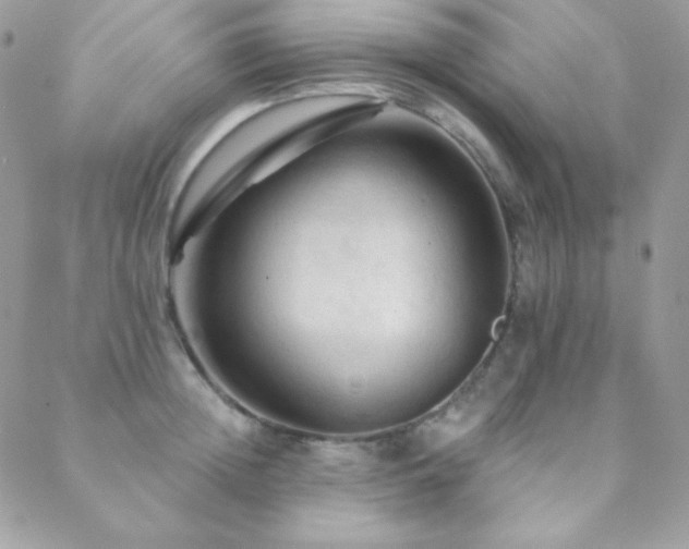 X0000088830852200706071353