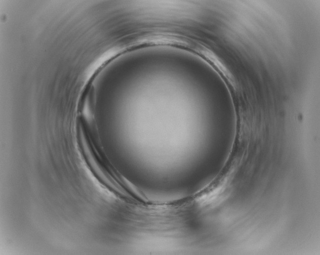 X0000088830853200706071353