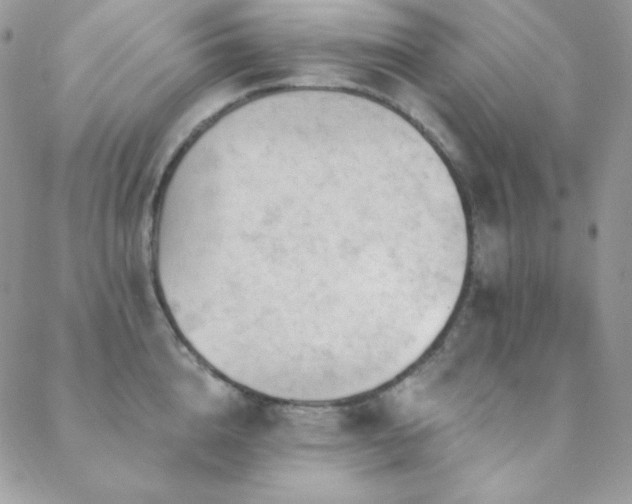 X0000088830856200706071353