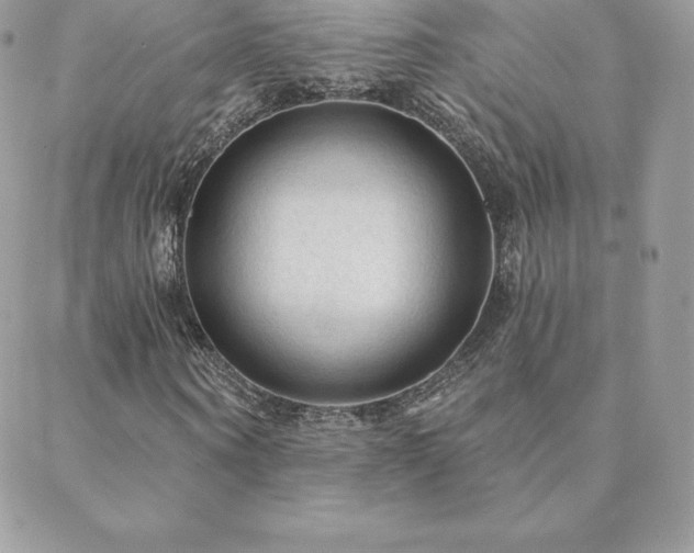 X0000088830866200706071353