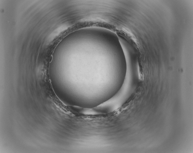X0000088830872200706071353