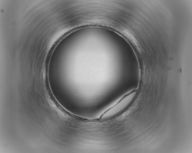 X0000088830888200706071352