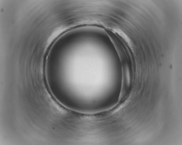 X0000088830894200706071352