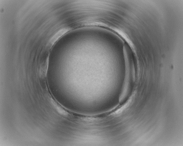X0000088830897200706071352