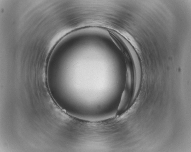 X0000088830904200706071352