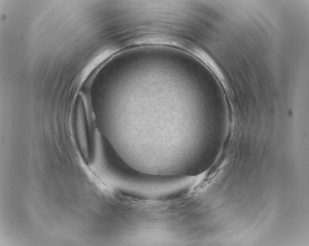 X0000088830909200706071352