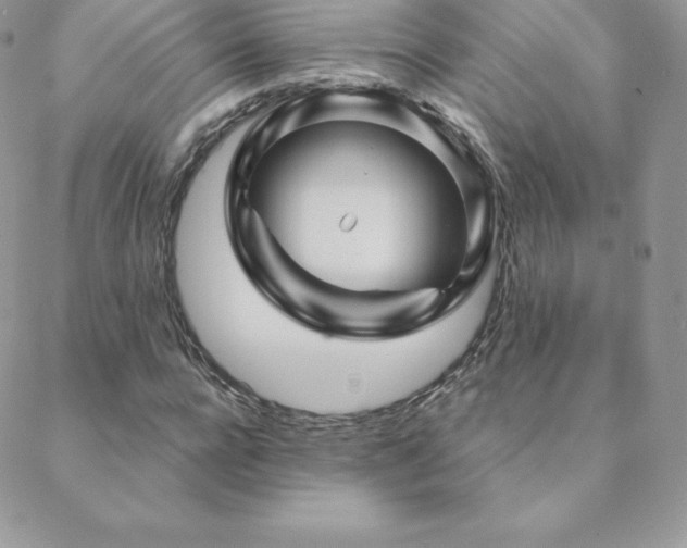 X0000088830920200706071351