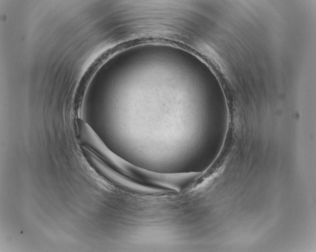 X0000088830924200706071351