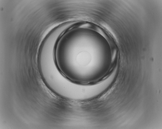 X0000088830932200706071351