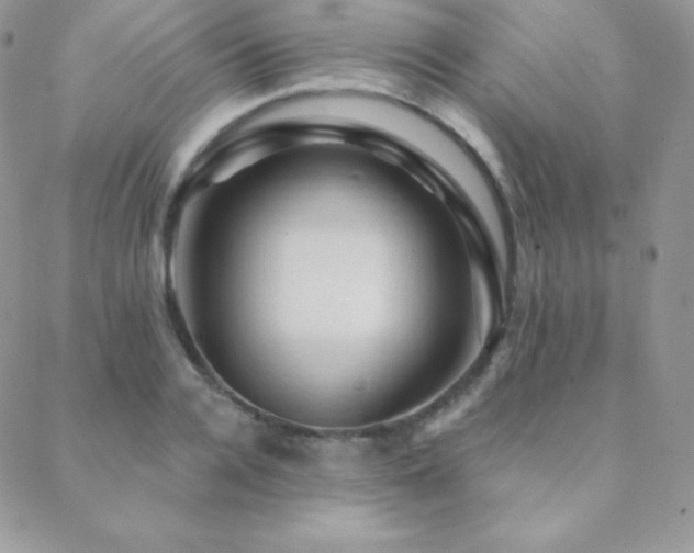 X0000088830936200706071351