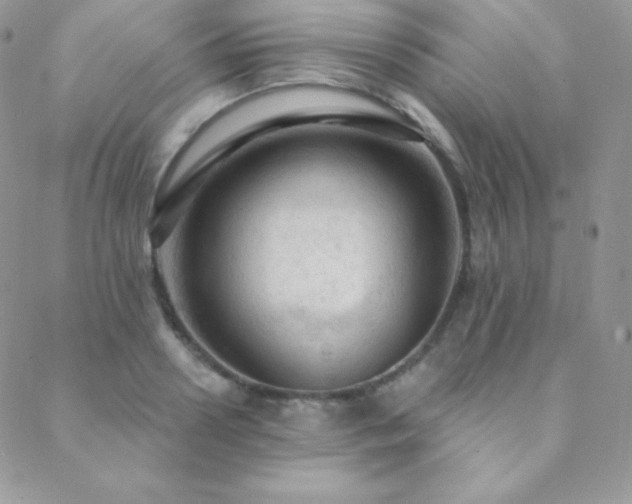 X0000088830938200706071352