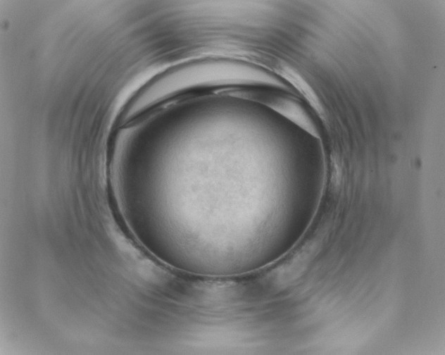 X0000088830939200706071352