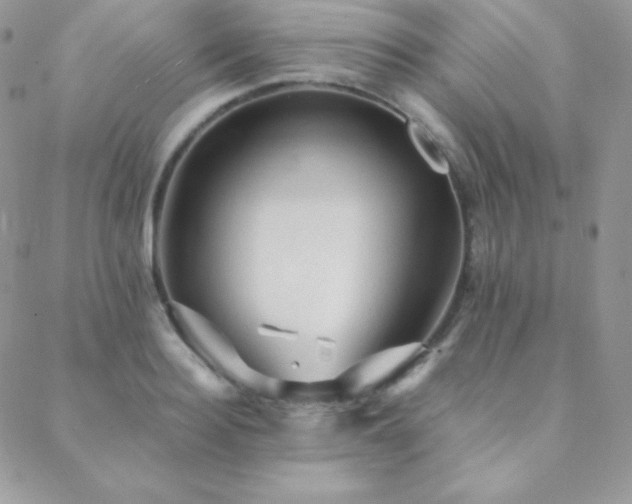 X0000088830940200706071352