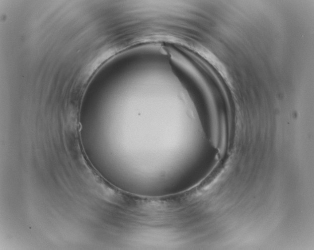 X0000088830945200706071352