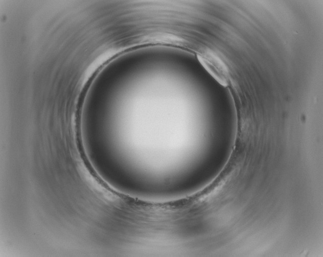 X0000088830947200706071352