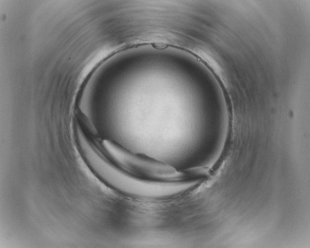 X0000088830949200706071352