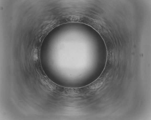 X0000088830962200706071351
