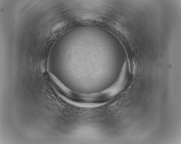 X0000088830965200706071351
