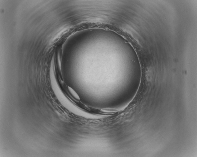X0000088830968200706071351
