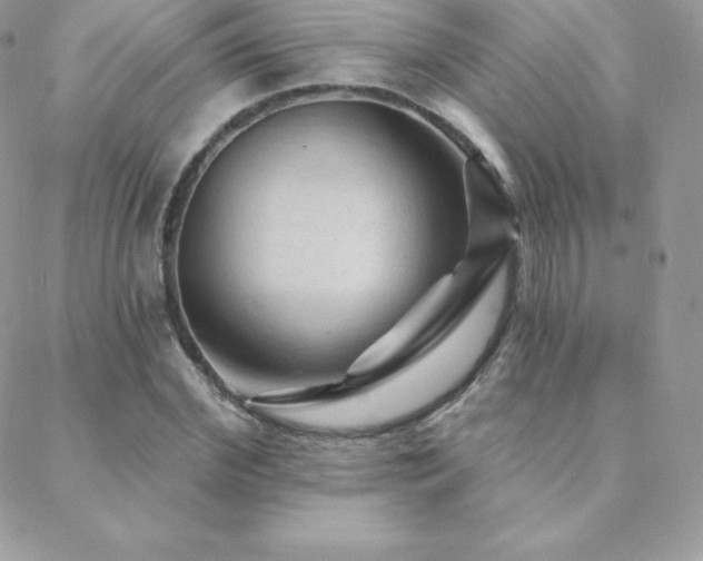 X0000088830972200706071351