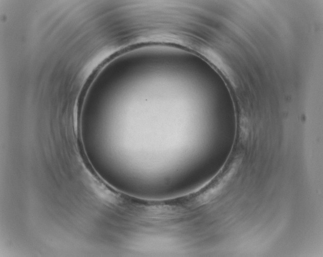 X0000088830988200706071351