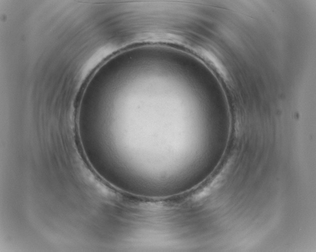 X0000088830990200706071351